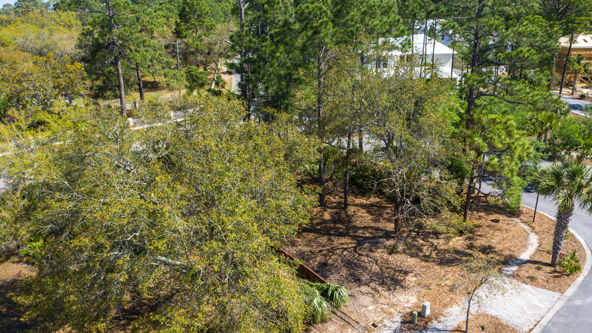 Lot 48 Hidden Grove Santa Rosa Beach, FL 32459 - Photo 8 of 13 Gallery Image 8