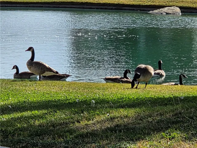 $307,000 | 631 La Costa Drive, Banning, CA 92220