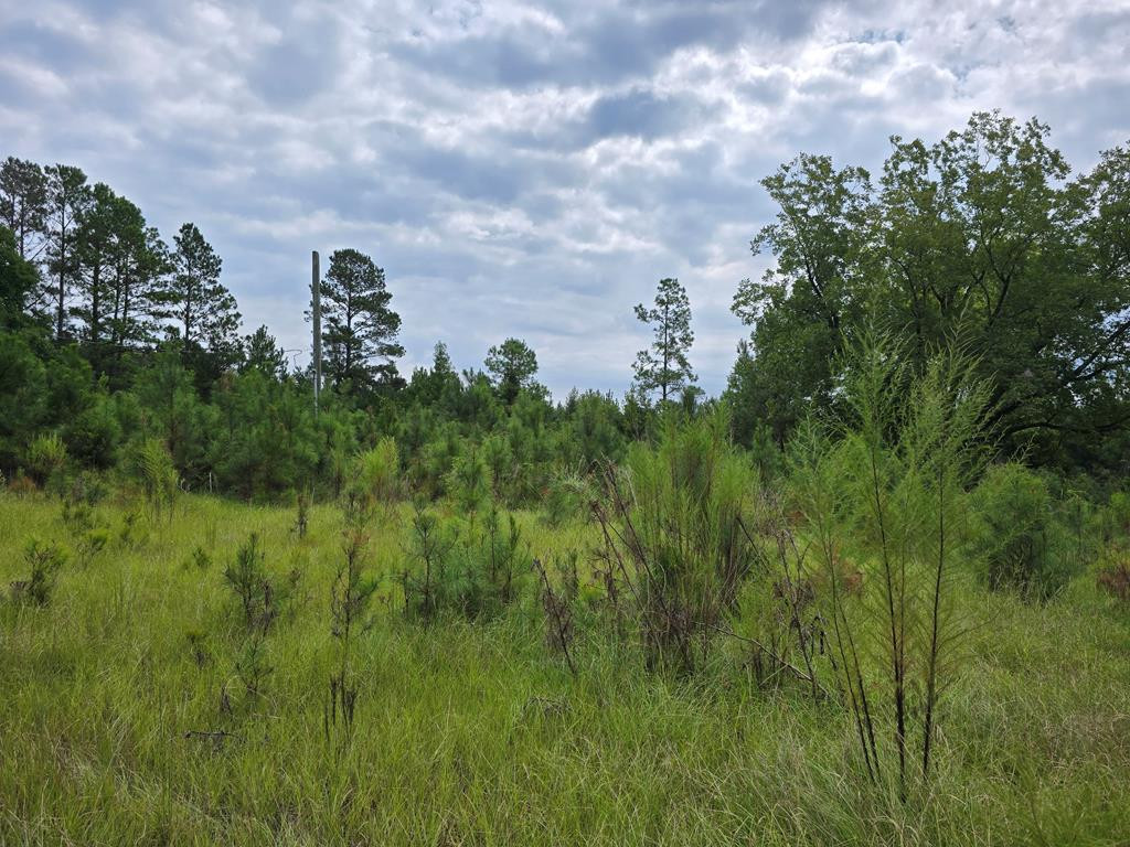459 Central School Road Rembert, SC 29128 - Photo 1 of 3
