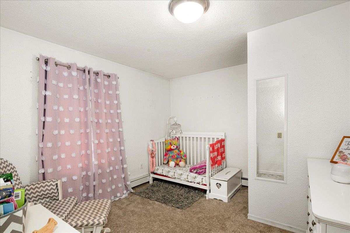 645 Stanley Road Two Harbors, MN 55616 - Photo 12 of 26 Bedroom with carpet flooring, a textured ceiling, and a baseboard heating unit