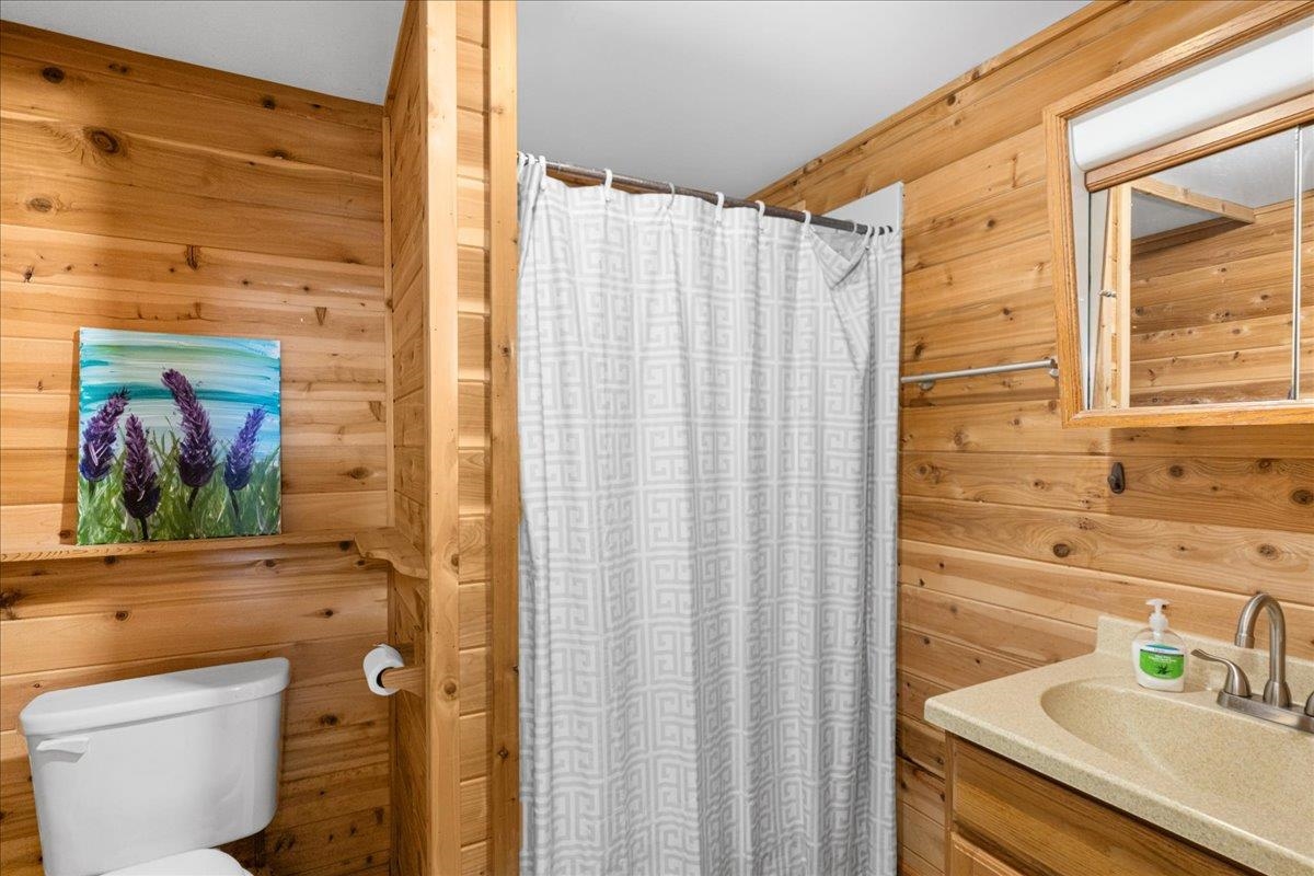645 Stanley Road Two Harbors, MN 55616 - Photo 16 of 26 Bathroom featuring wood walls, vanity, and a shower stall