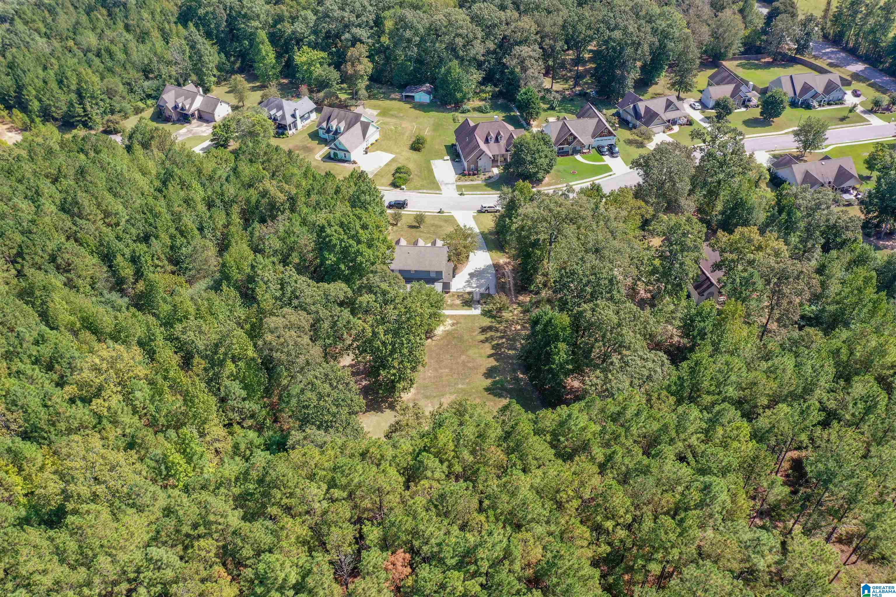 121 Thatcher Drive Vincent, AL 35178 - Photo 82 of 96