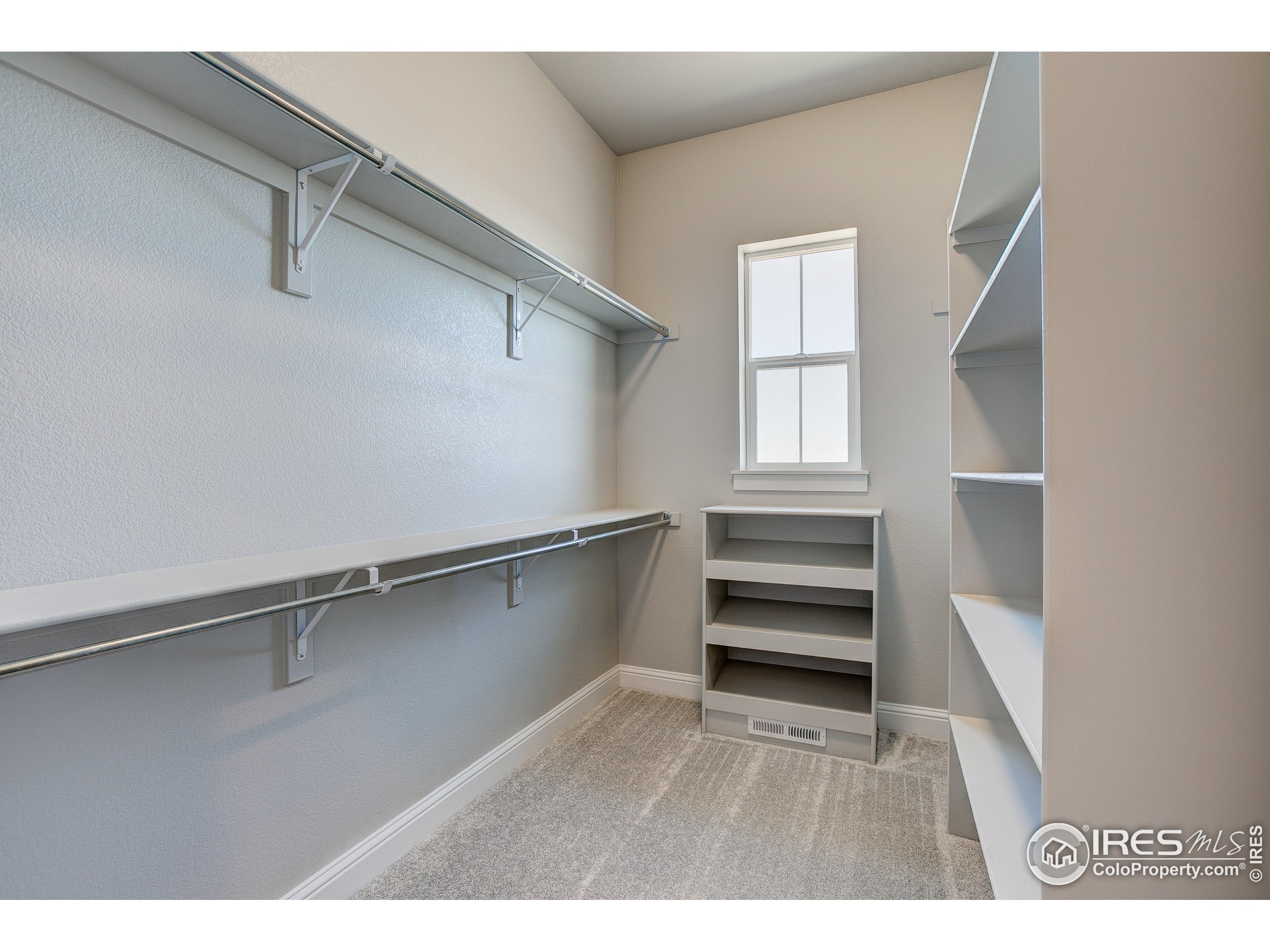 2618 Prairie Flax Street Berthoud, CO 80513 - Photo 30 of 40