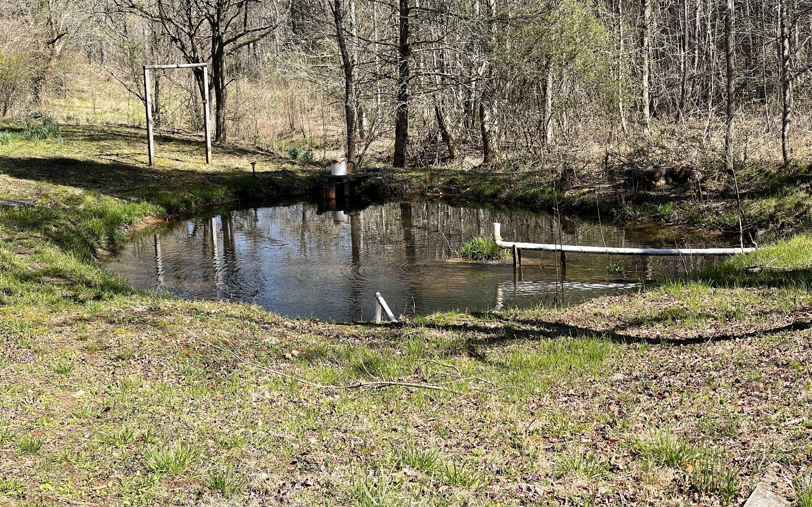 575 Caldwell Road Brasstown, NC 28902 - Photo 8 of 43 Additional View