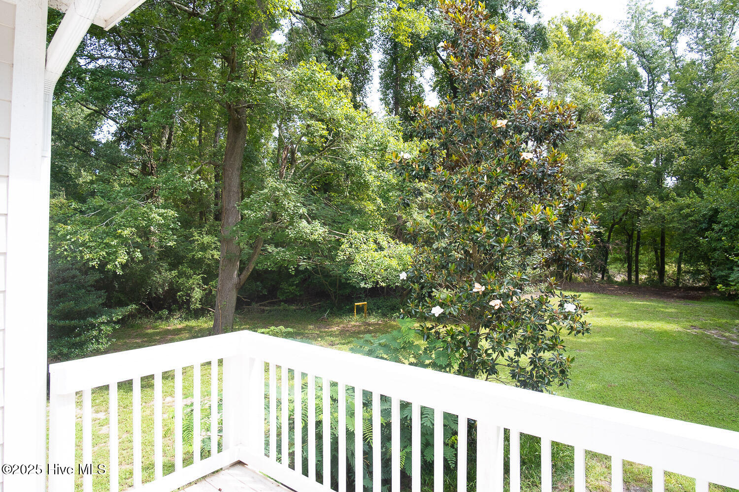 505 Pughtown Road Grifton, NC 28530 - Photo 42 of 53 DSCF4234