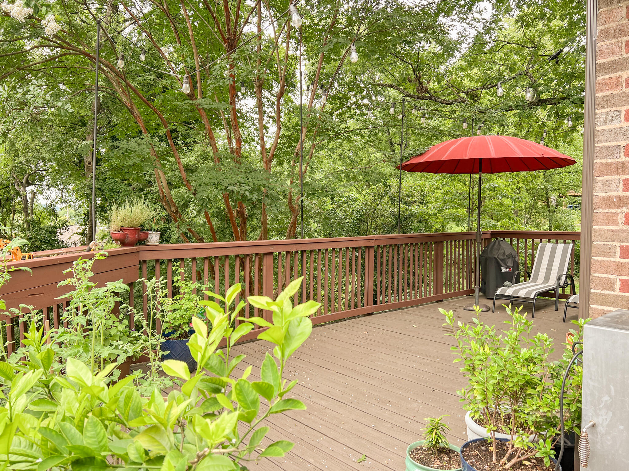 312 Pine Ridge Road Chattanooga, TN 37405 - Photo 26 of 35 Untitled-58