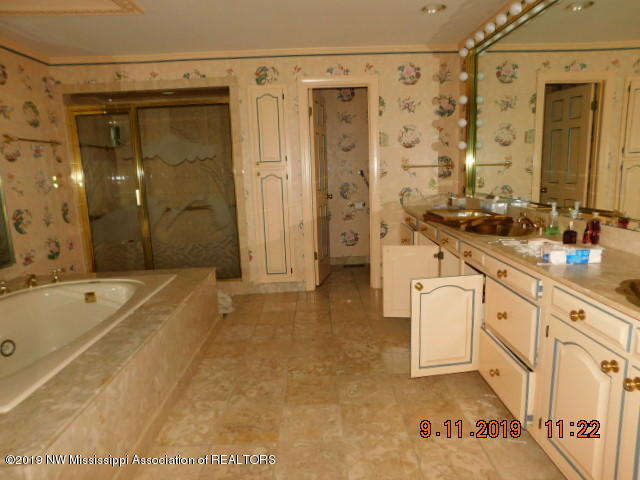 400 Cedar Hills Road Holly Springs, MS 38635 - Photo 8 of 28 master bath