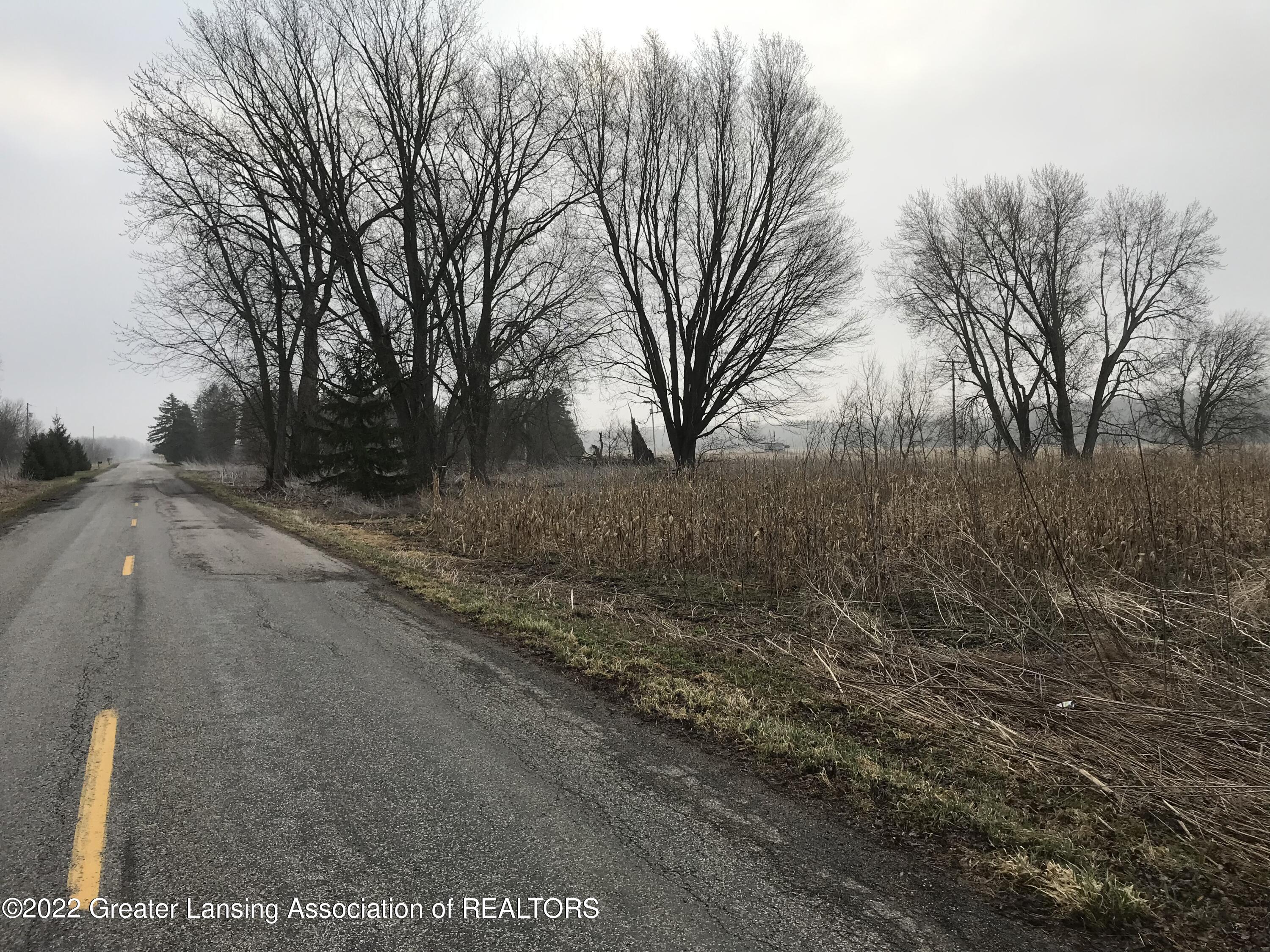 4693 Curtice Road Mason, MI 48854 - Photo 6 of 10 West side looking east