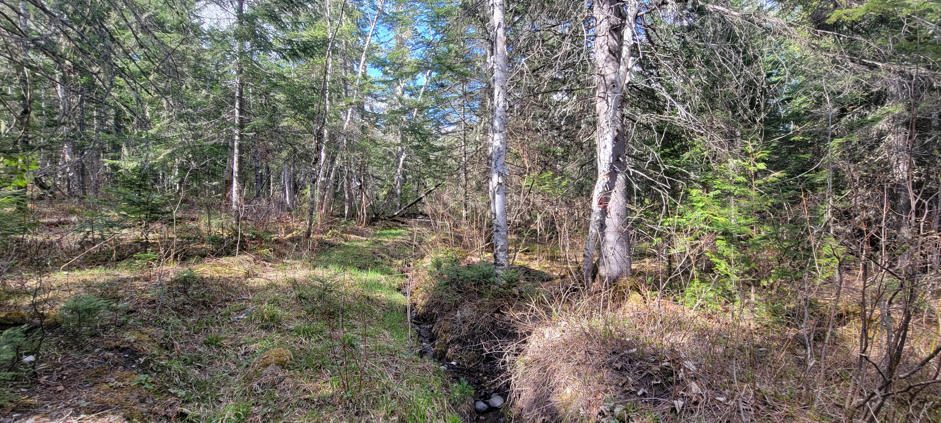 5 Map Road Van Buren, ME 04785 - Photo 11 of 16 20240506_160655