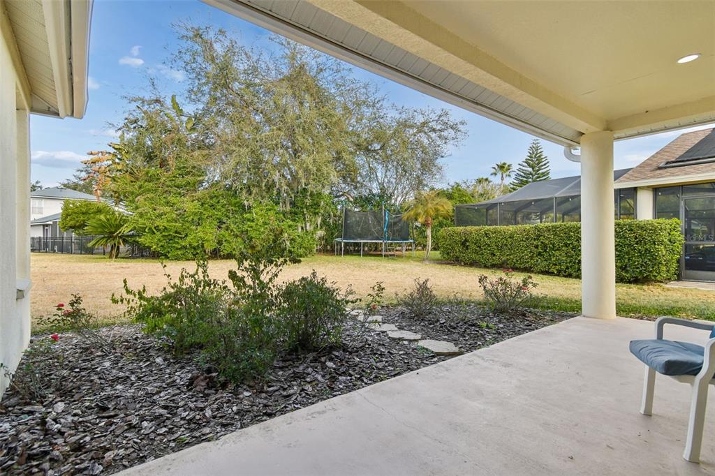 3311 Stonebridge Trail Valrico, FL 33596 - Photo 28 of 33 a view of a backyard with plants