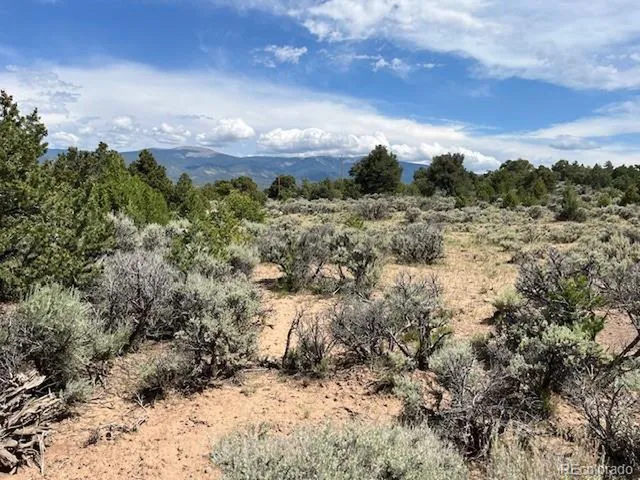 a view of a bunch of trees and bushes