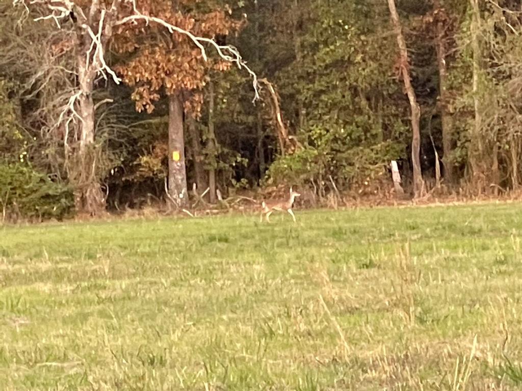 0 North Mcgee Bend Loop  