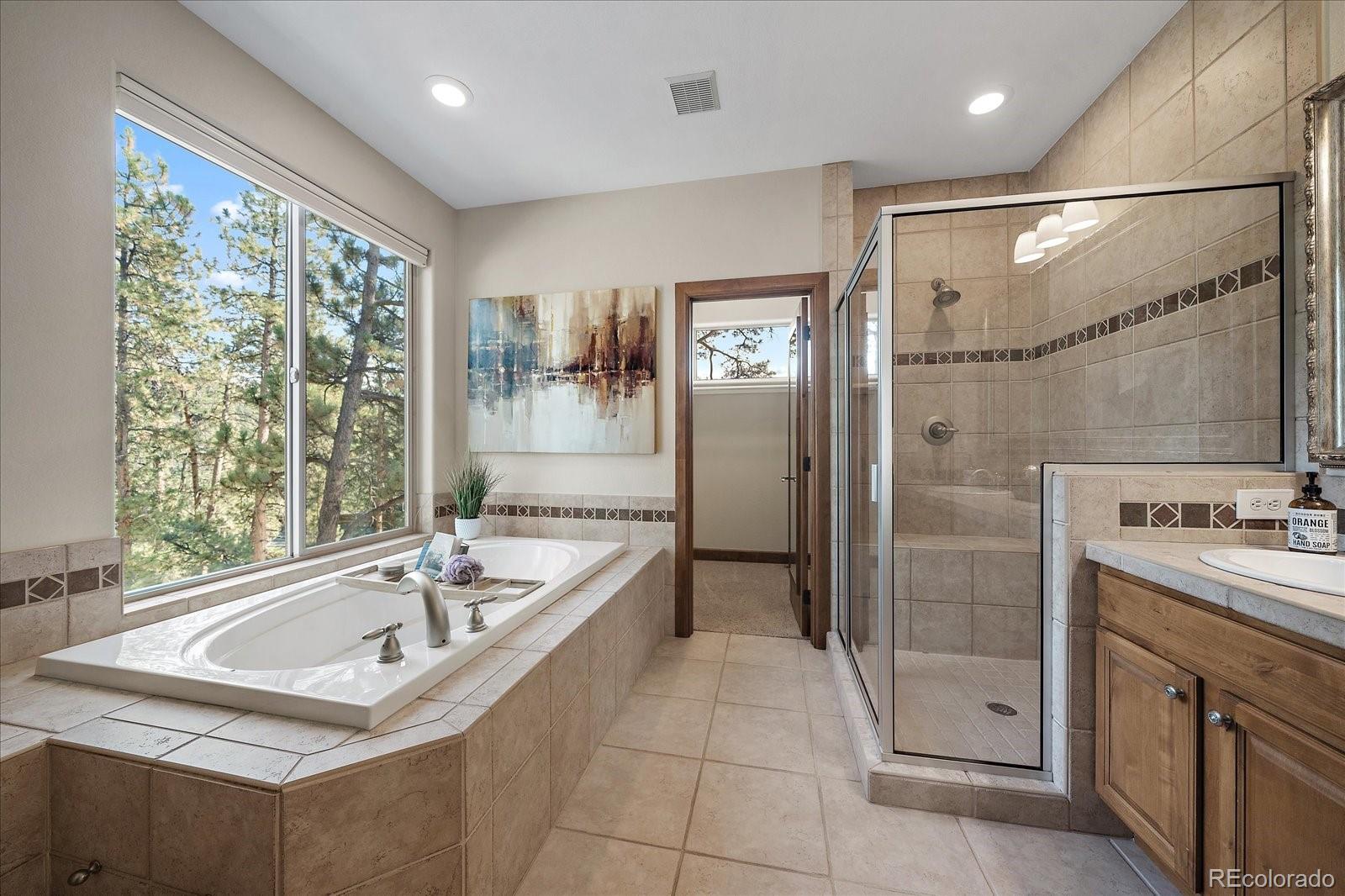 28857 Cedar Circle Evergreen, CO 80439 - Photo 24 of 50 a bathroom with a tub a sink a mirror and a shower