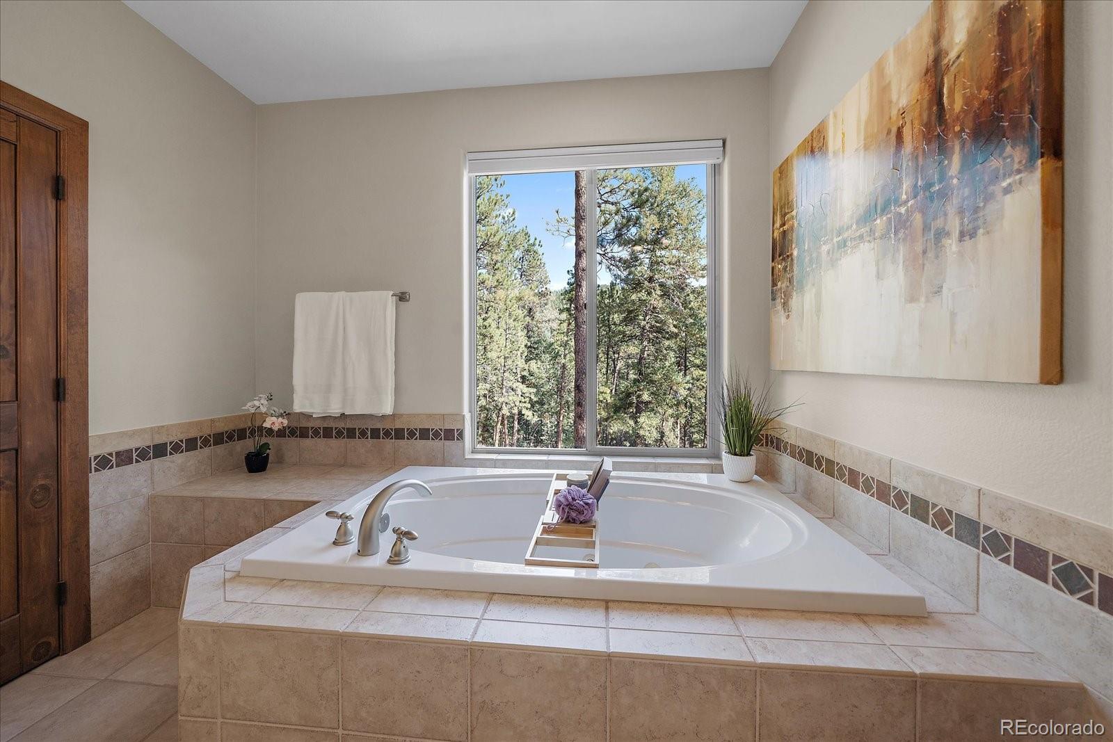28857 Cedar Circle Evergreen, CO 80439 - Photo 25 of 50 a bath tub sitting in a bathroom next to a window