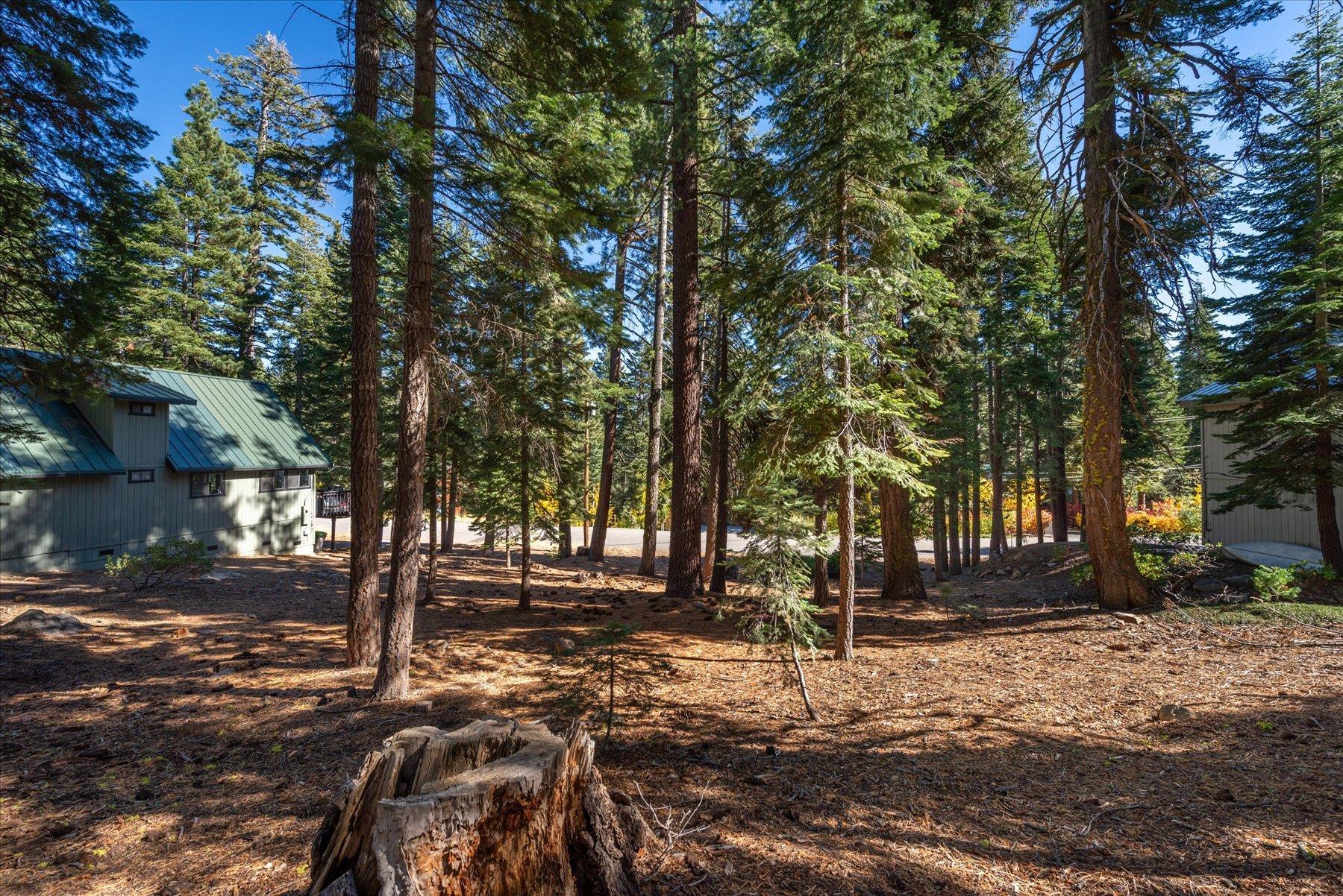 11888 Chamonix Road Truckee, CA 96161 - Photo 7 of 19 Gallery Image 7