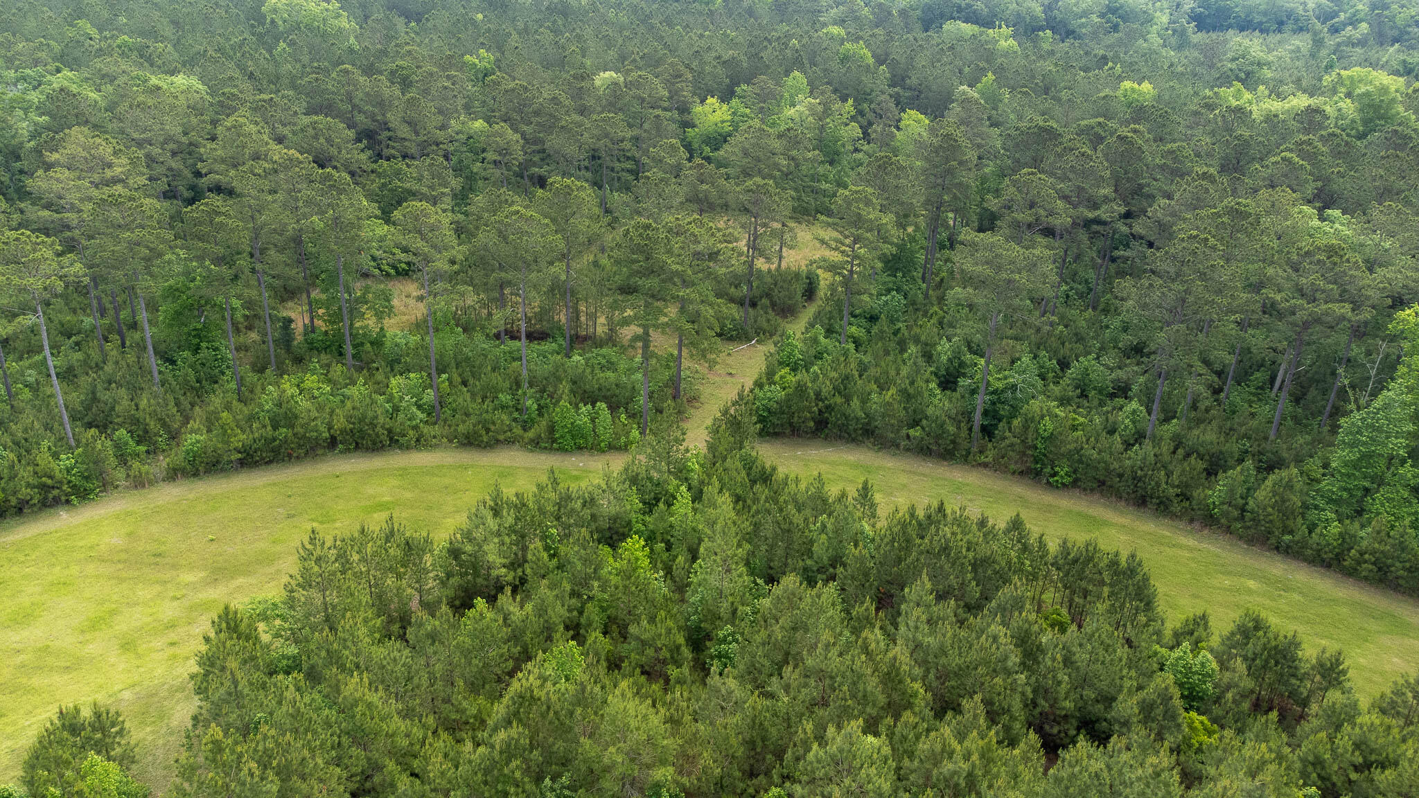 1034 Tuten Road Jacksonboro, SC 29452 - Photo 11 of 77 Hayne HallSC Land for Sale-59