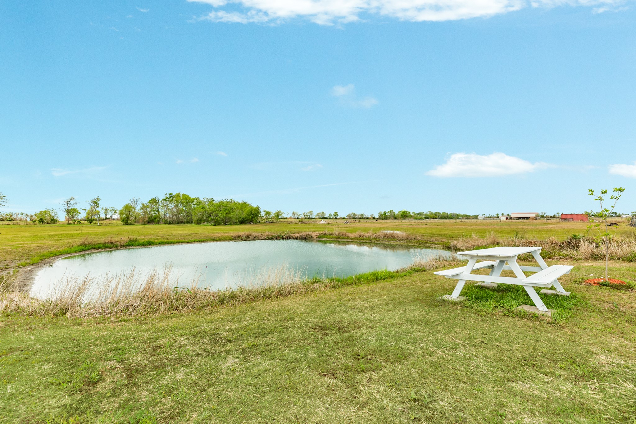 1886 County Road 212 Angleton, TX 77515 - Photo 26 of 36 a view of a ocean with boats and trees in the background