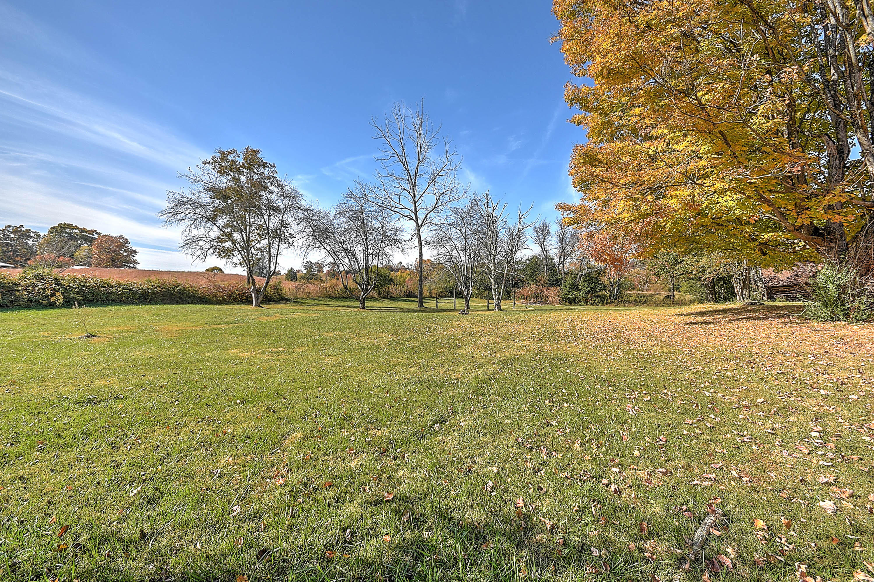 566 Morning Star Road Church Hill, TN 37642 - Photo 44 of 74 Morning Star-9