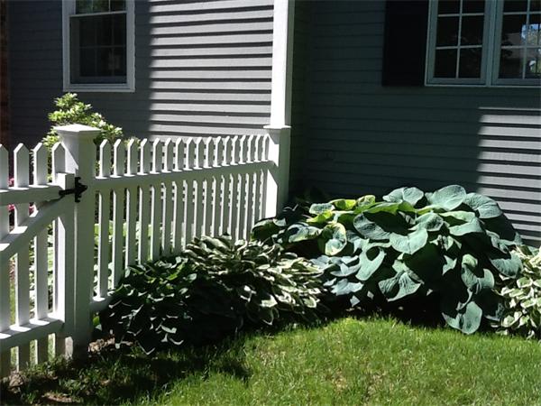 25 Albemarle Road Norwood, MA 02062 - Photo 25 of 26 Gallery Image 25
