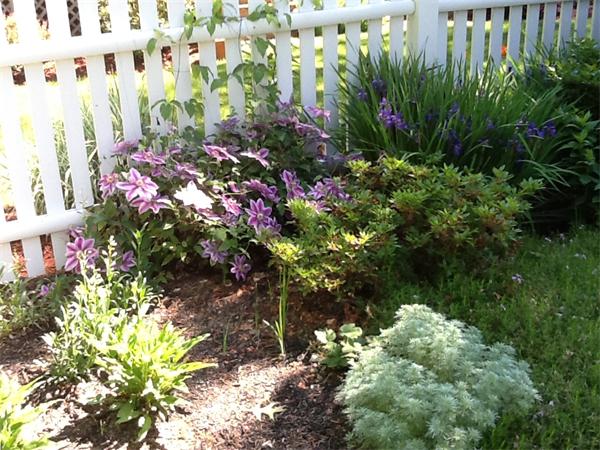 25 Albemarle Road Norwood, MA 02062 - Photo 26 of 26 Gallery Image 26