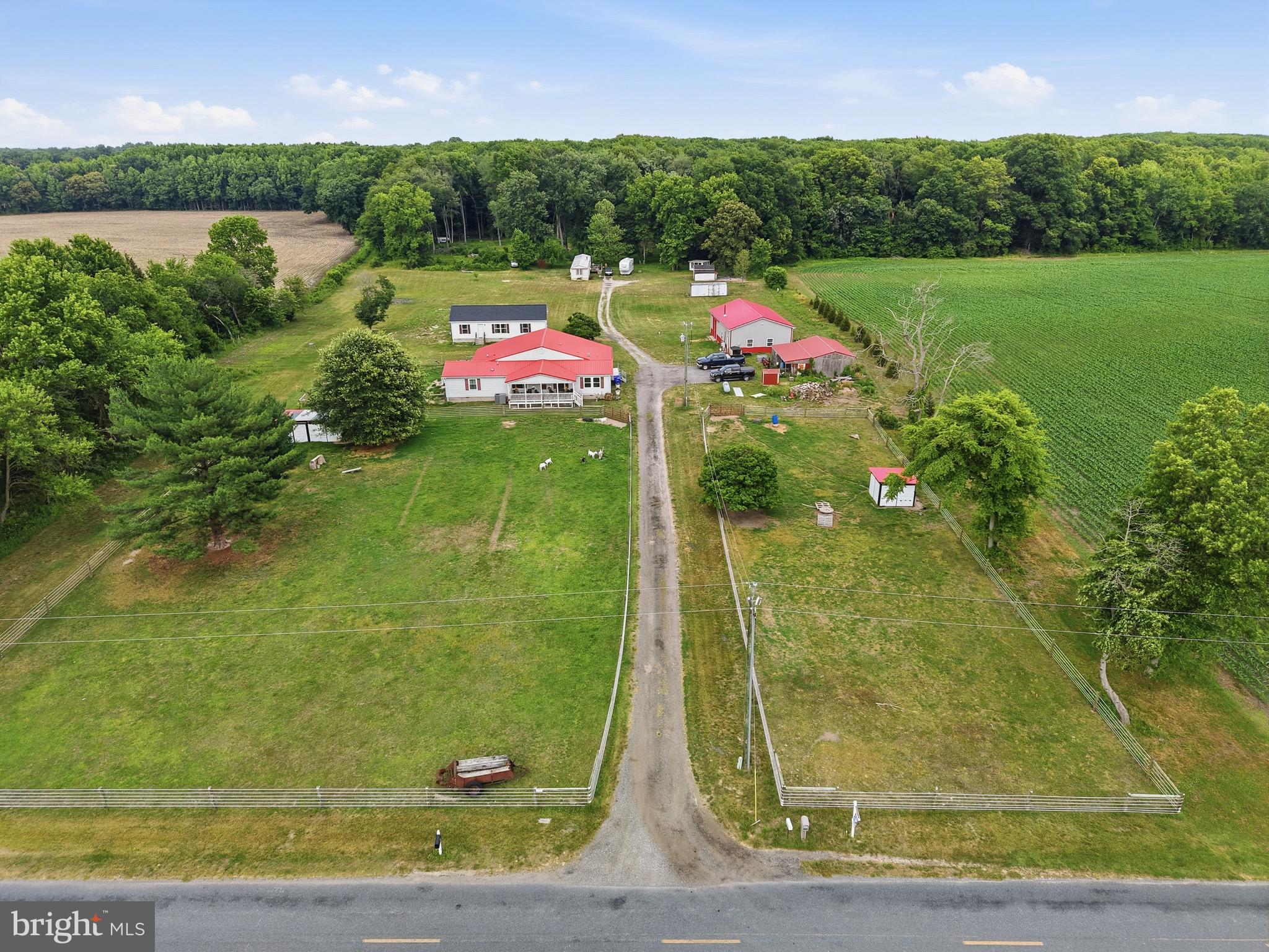 420 Duhamel Corner Road Marydel, MD 21649 - Photo 23 of 90
