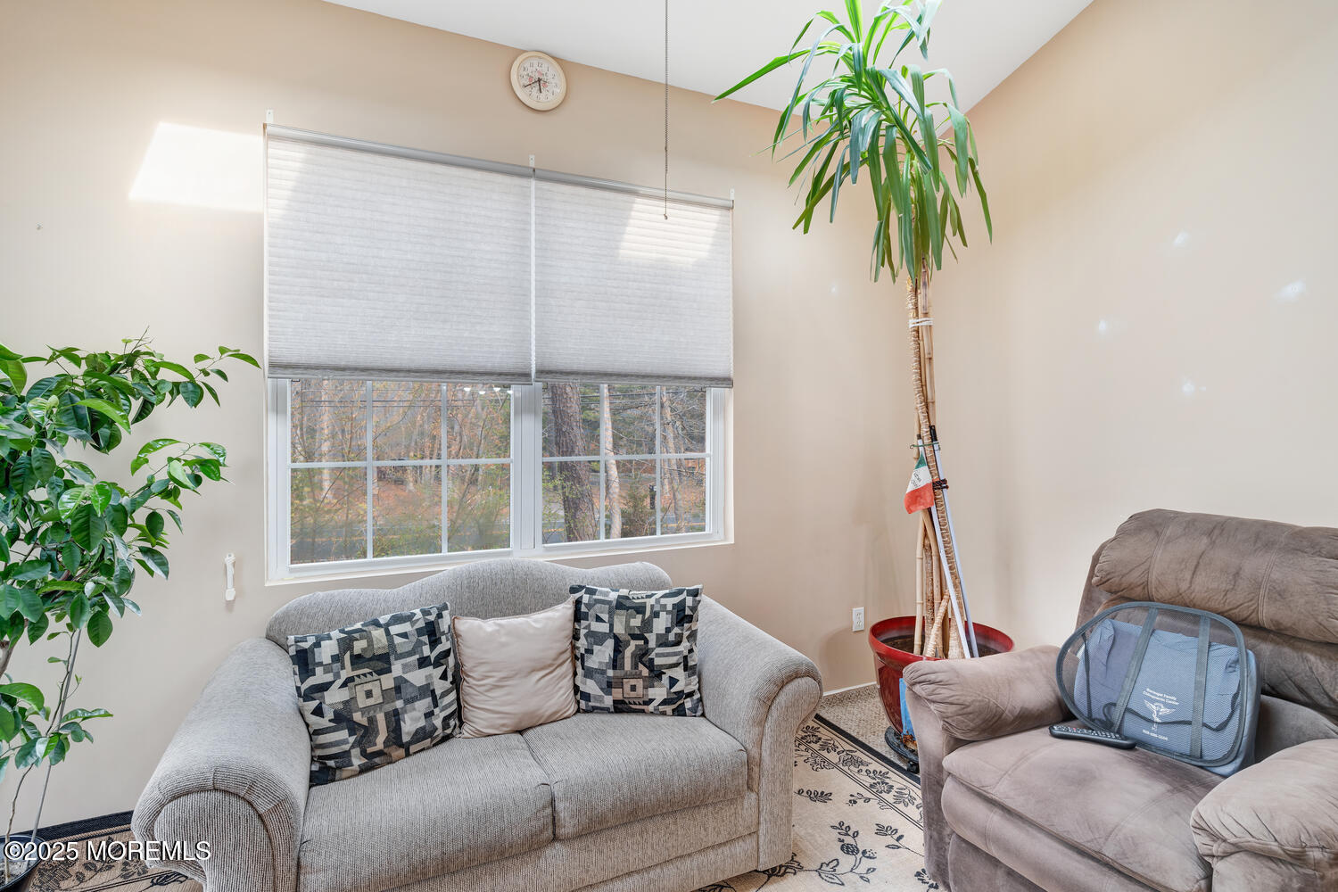 16 Seagull Drive Little Egg Harbor, NJ 08087 - Photo 22 of 27 a living room with furniture and a potted plant