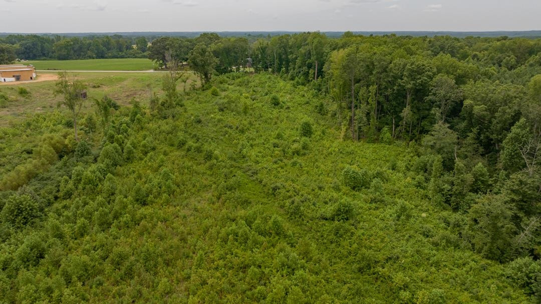 Lot 4 Satterwhite Point Road Henderson, NC 27537 - Photo 13 of 18 Photo 13