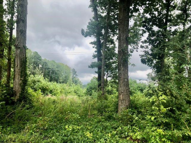 Lot 4 Satterwhite Point Road Henderson, NC 27537 - Photo 3 of 18 Photo 3