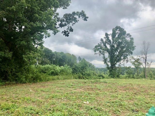 Lot 4 Satterwhite Point Road Henderson, NC 27537 - Photo 4 of 18 Photo 4