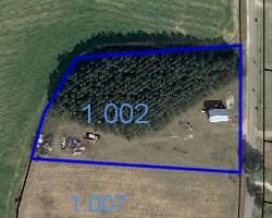 Lot 1 Helms Road Dothan, AL 36301 - Photo 4 of 12