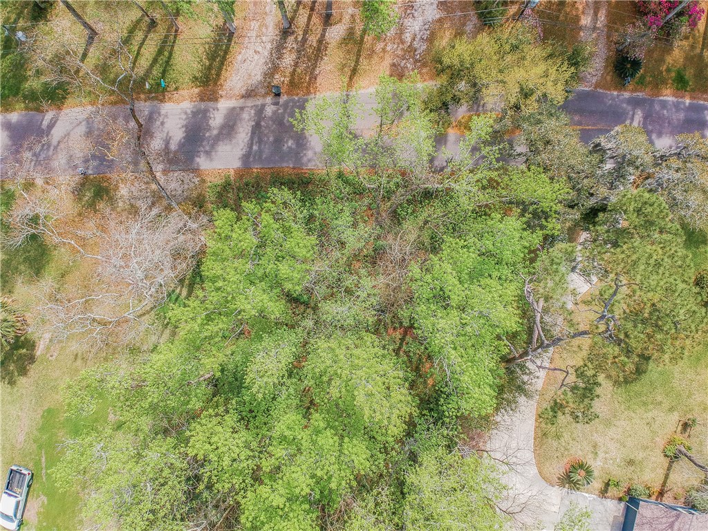 97246 Pirates Point Road Yulee, FL 32097 - Photo 14 of 32 a view of a yard in a yard