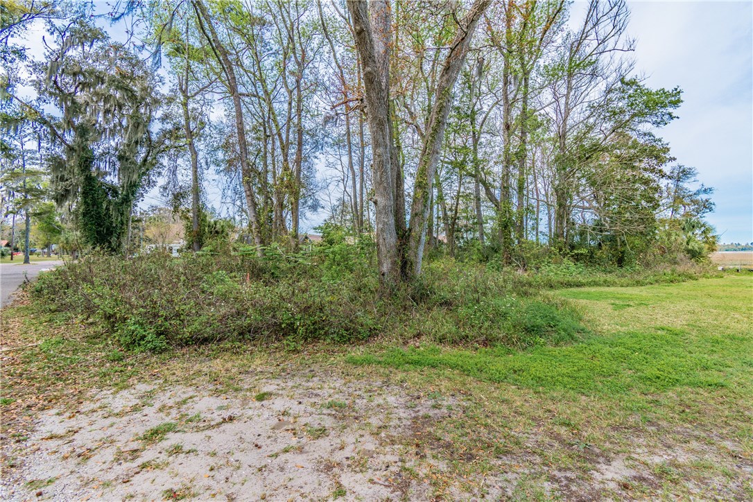 97246 Pirates Point Road Yulee, FL 32097 - Photo 22 of 32 a big yard with lots of green space and trees