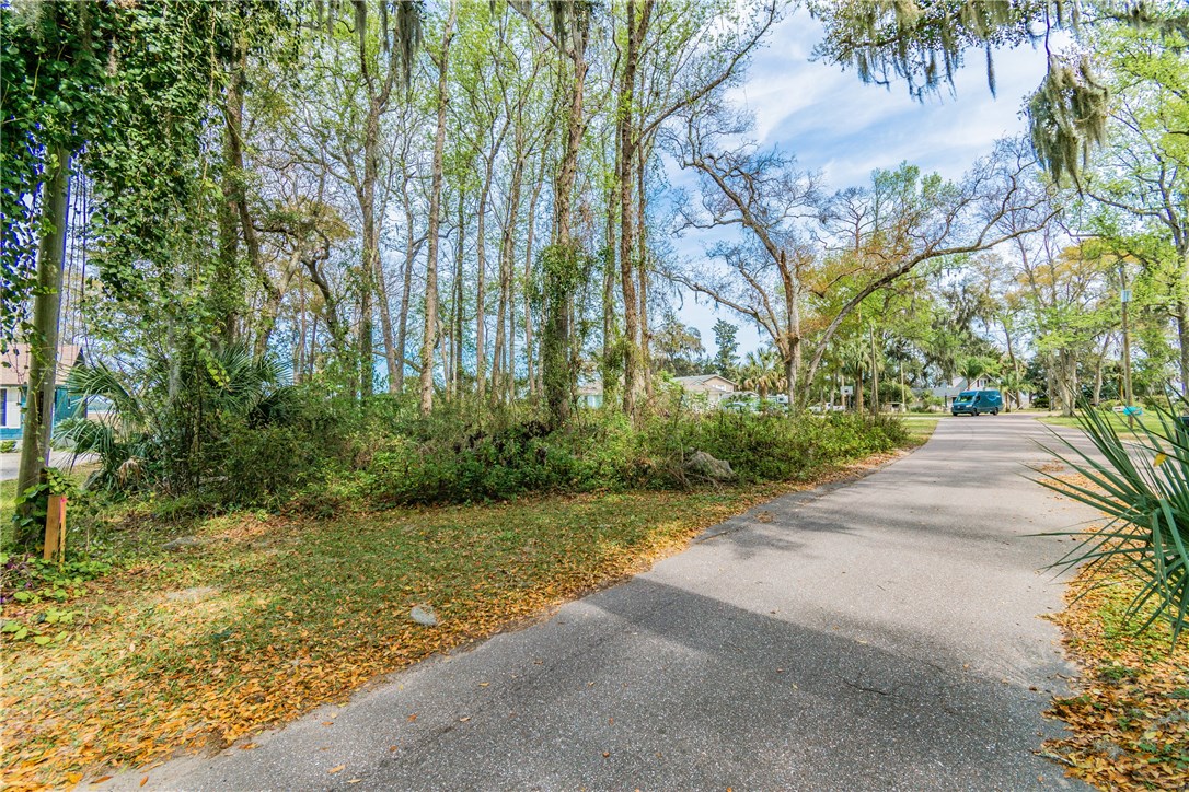 97246 Pirates Point Road Yulee, FL 32097 - Photo 25 of 32 a view of a yard with plants and trees