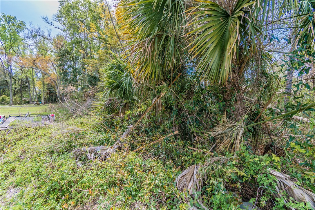97246 Pirates Point Road Yulee, FL 32097 - Photo 29 of 32 a view of a yard with plants and large trees