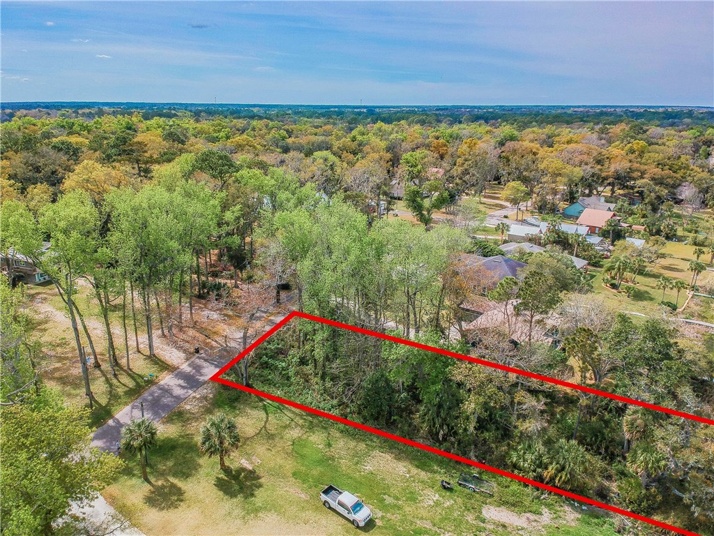 97246 Pirates Point Road Yulee, FL 32097 - Photo 4 of 32 a view of outdoor space and yard