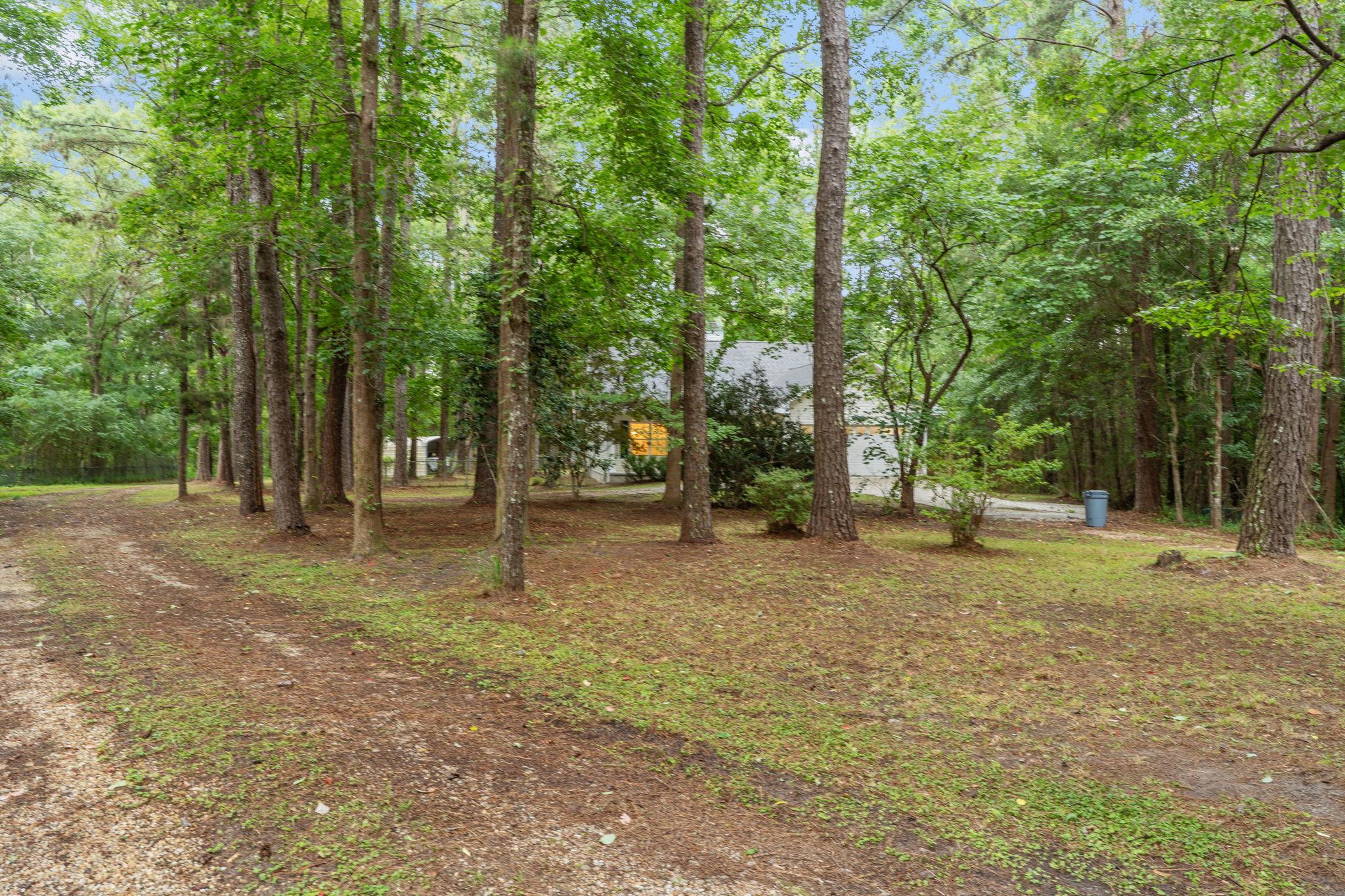 3124 Dover Road Havana, FL 32333 - Photo 11 of 47 Gallery Image 11
