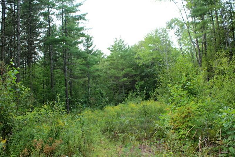 0 Carding Machine Road Bowdoinham, ME 04008 - Photo 5 of 13 Photo