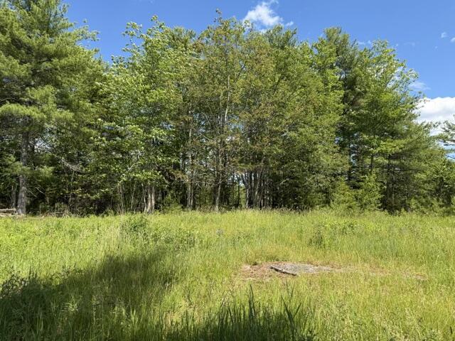 306 Cross Point Road, Unit AREAR LOT Edgecomb, ME 04556 - Photo 17 of 19 IMG_5106