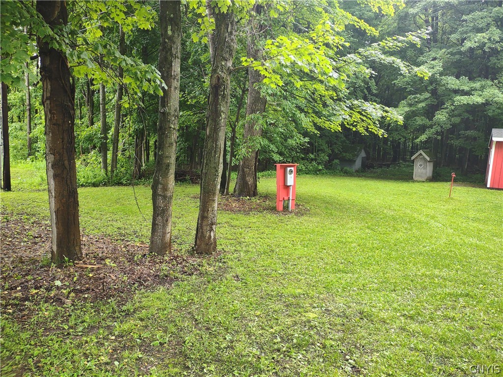 437 Albion Cross Road Pulaski, NY 13142 - Photo 12 of 13