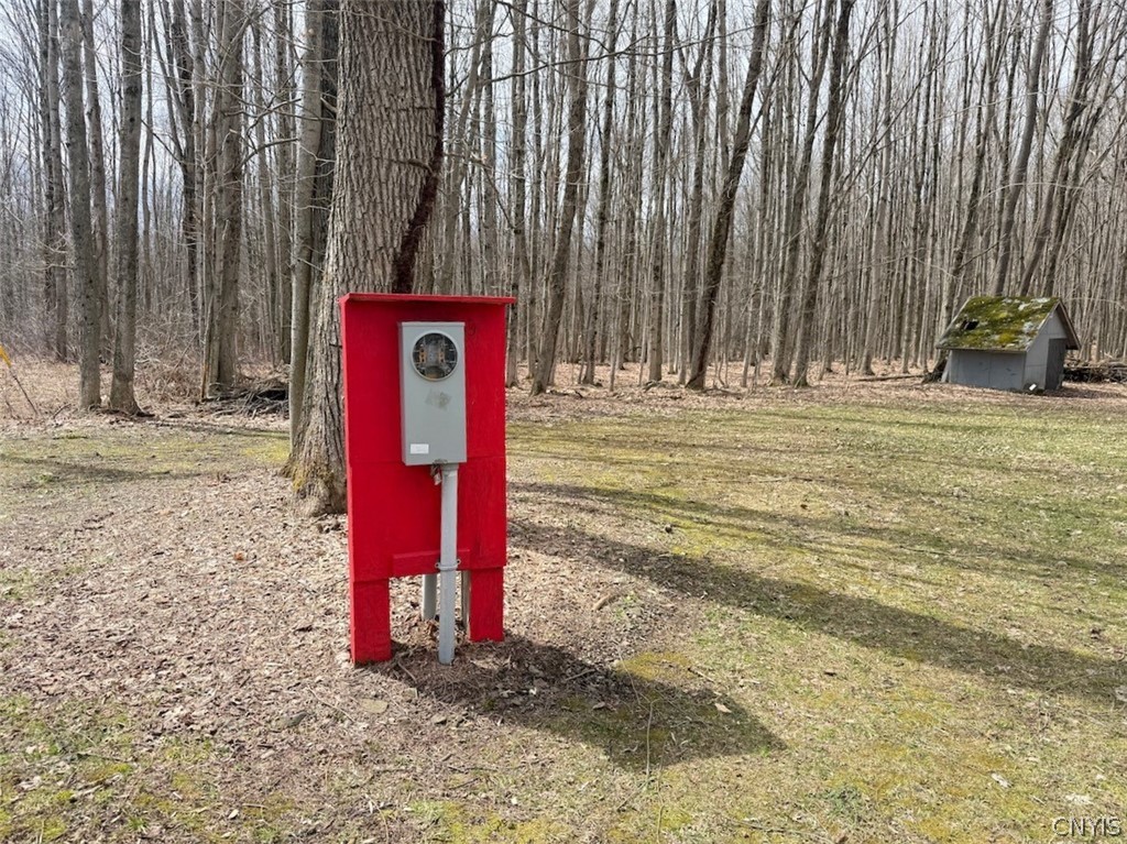 437 Albion Cross Road Pulaski, NY 13142 - Photo 5 of 13