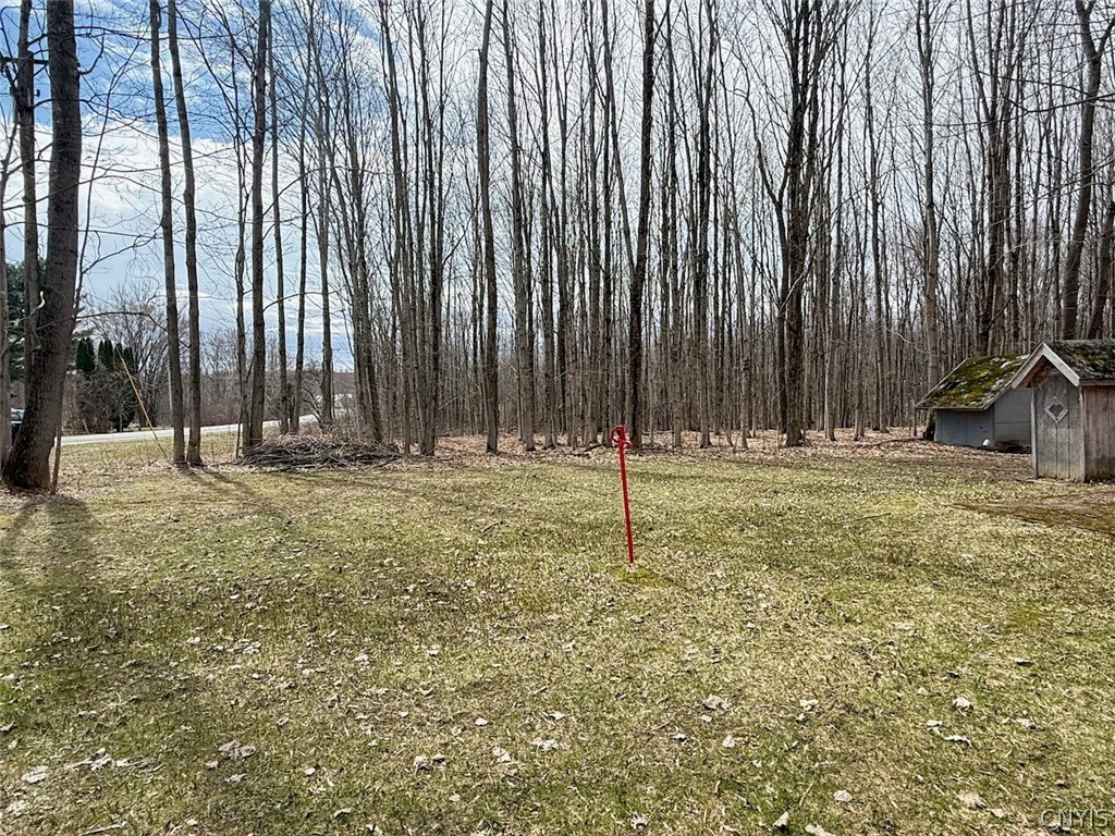 437 Albion Cross Road Pulaski, NY 13142 - Photo 6 of 13