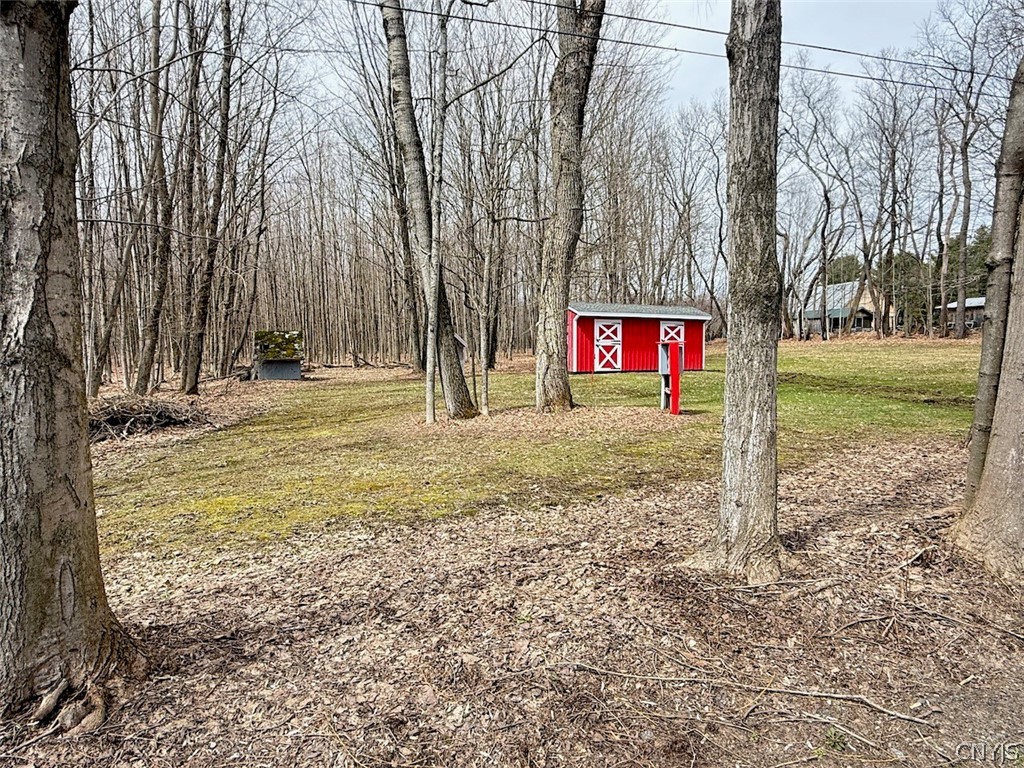 437 Albion Cross Road Pulaski, NY 13142 - Photo 9 of 13