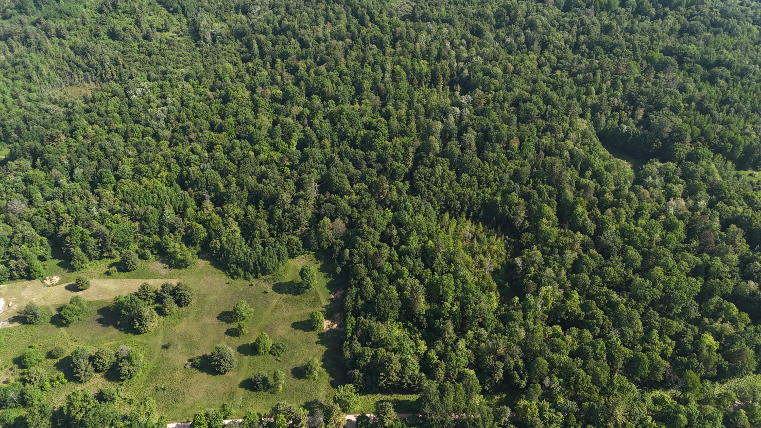 Dickson Road Brethren, MI 49619 - Photo 24 of 27 dji_fly_20250617_100750_0571_17501698479