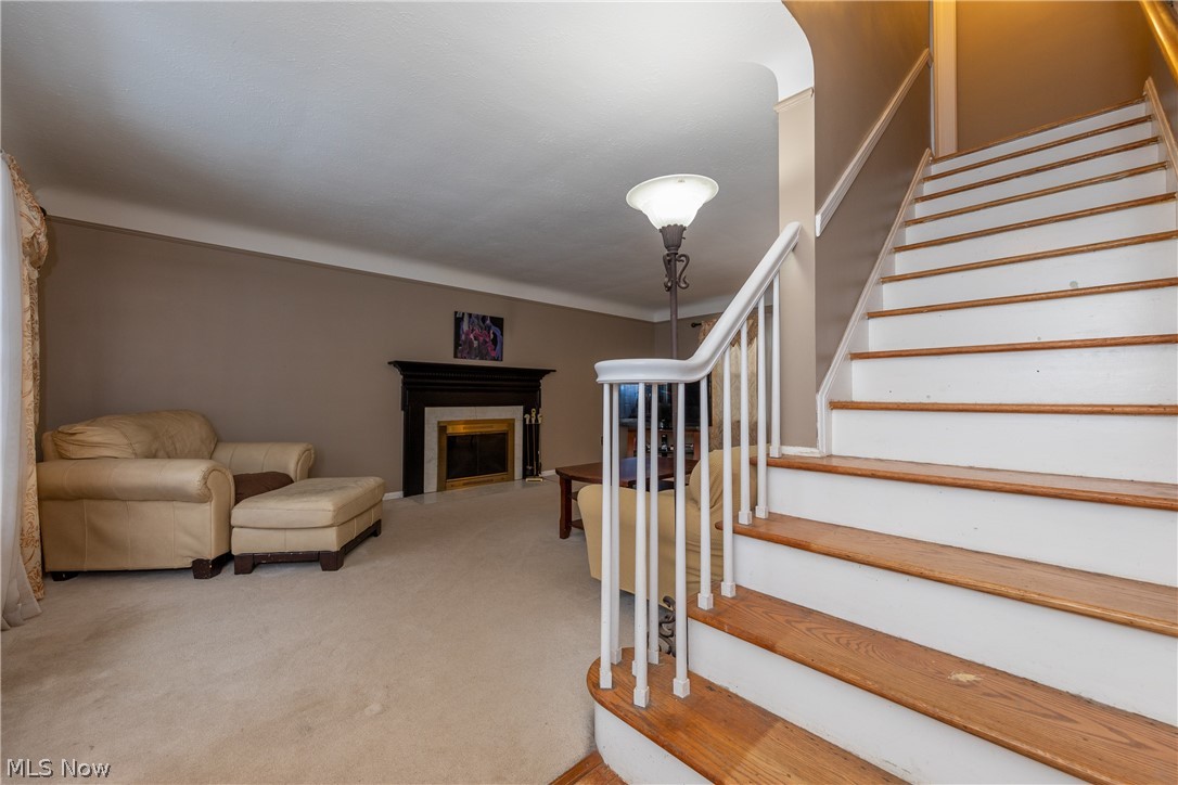 1289 Dorsh Road Cleveland, OH 44121 - Photo 3 of 34