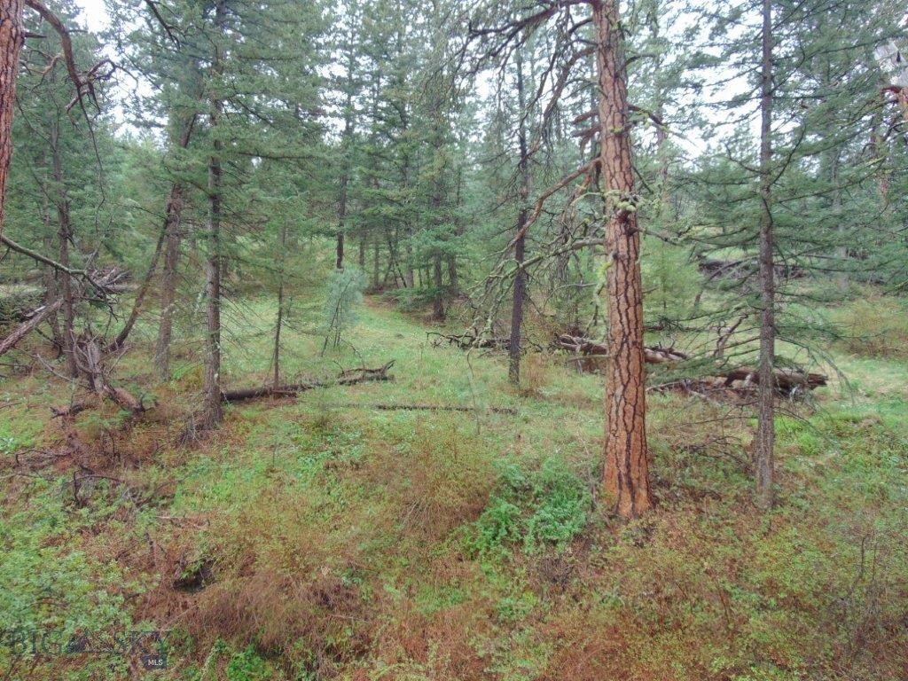 Tbd Shady Spring Lane Cascade, MT 59421 - Photo 48 of 78 Gallery Image 48