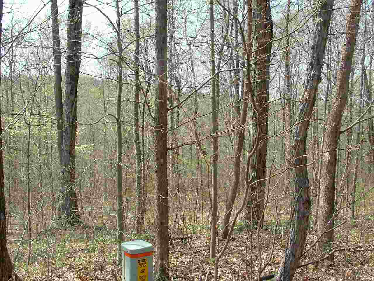 Britton Road Solsberry, IN 47459 - Photo 2 of 4