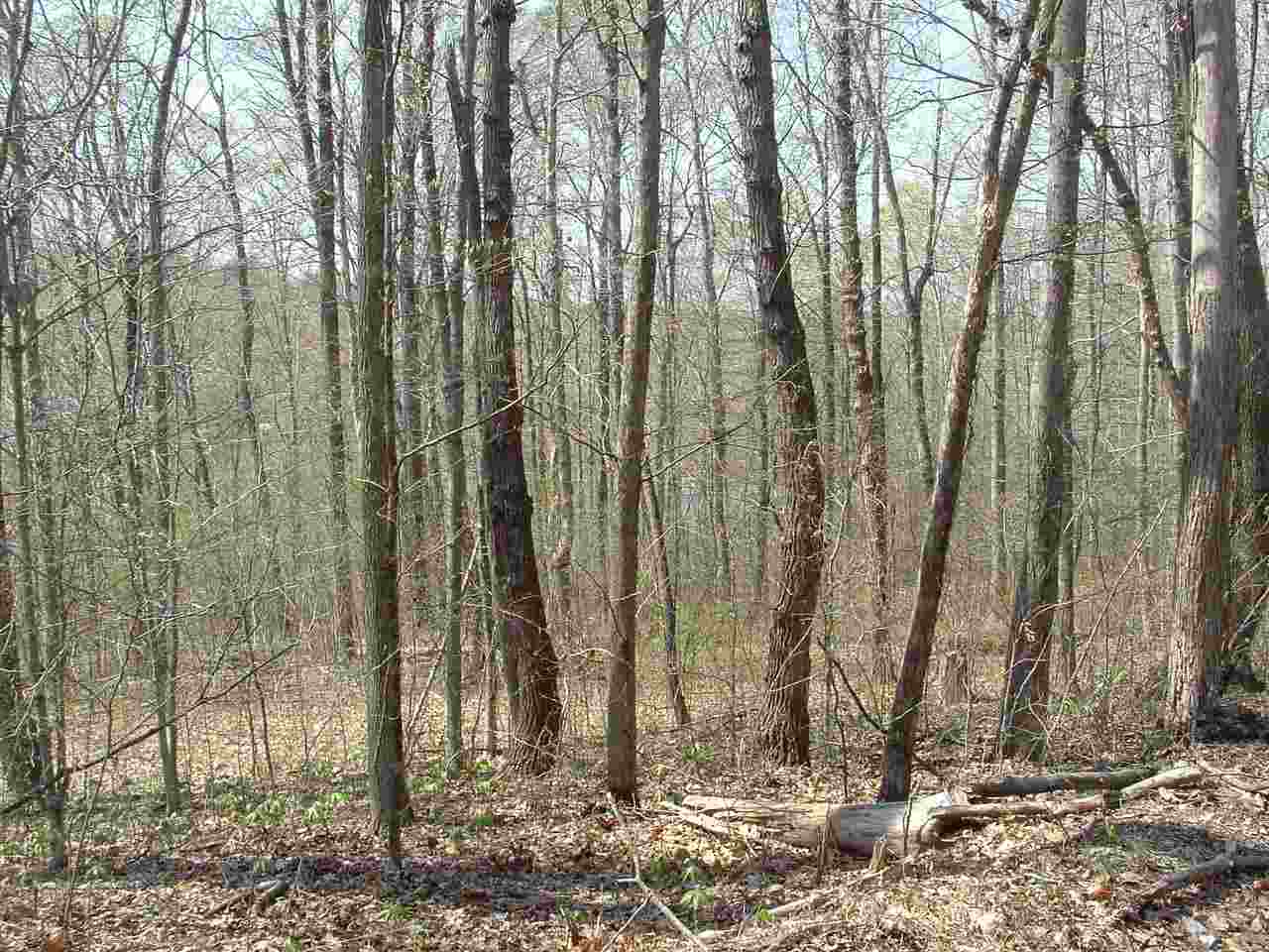 Britton Road Solsberry, IN 47459 - Photo 4 of 4