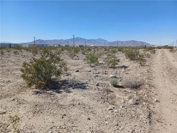 a view of a dry yard with trees