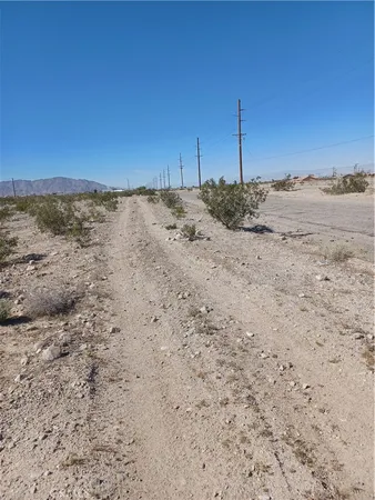 a view of a dry yard