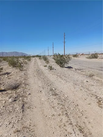 a view of a dry yard with trees in the background